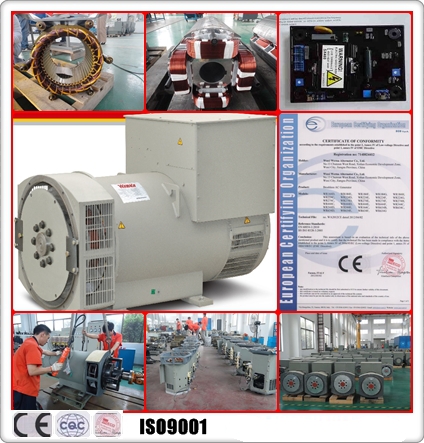 Стандартный тангаж 2/3 альтернатора постоянного магнита 120kw трехфазный безщеточный