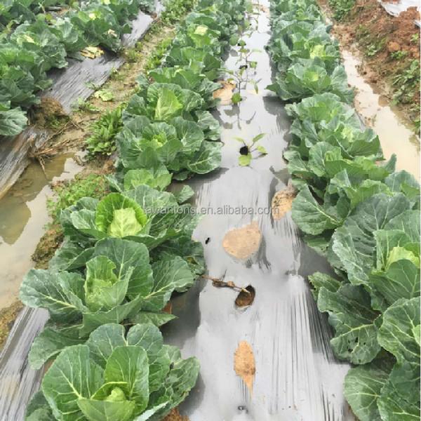 0.4-6м Ширина увлажняющая сельскохозяйственная защитная пластиковая пленка с перфорированным дизайном