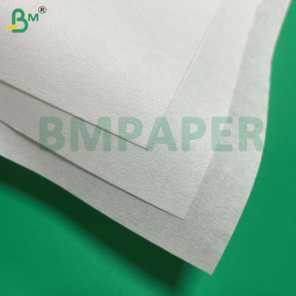 Bleached Porous Filter Paper For Pour - Over, Drip And Espresso Mahines
