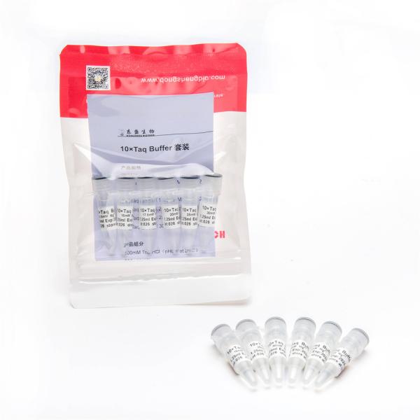 1.25ml×6 Ready To Use 10× PCR Buffer With Mg2+ Set P5011b