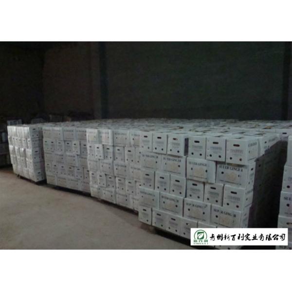 150 - 300 G / Per Fresh Yellow Ginger Sell To Supermarket And Wholesaler