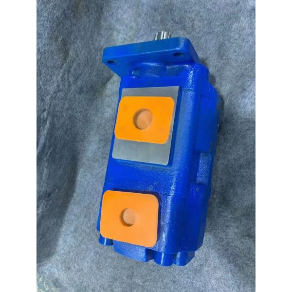 Gear oil pump Gear pumpP3100A583ADQU10-29 P3100A583ADTW12-30 P3100A586ADPN20-14 P3100A586ADTW15-29 P3100A586ADTW17-29 factory