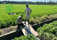 Forro UV CIPP DN300 SIN forro UV de excavación para tubería de diámetro pequeño para curar 4 mm