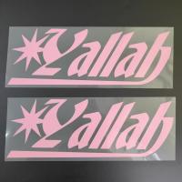 Transferencia de calor HTV a todo color Logotipo de vinilo Diseño digital Impresión de logotipo de hierro