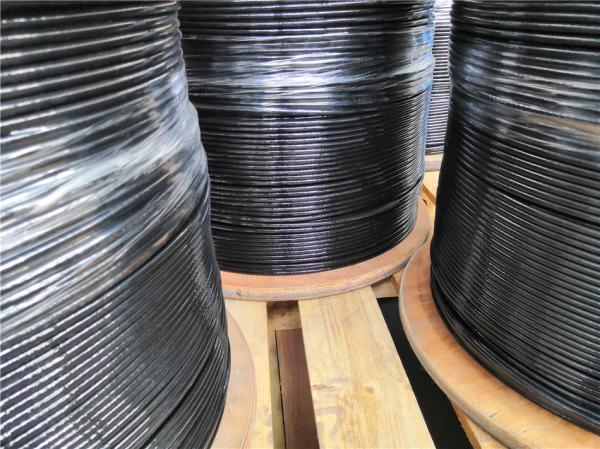 Câble métallique de gymnastique 7x19 4mm-6mm, gainé de TPU noir, pour équipement de fitness