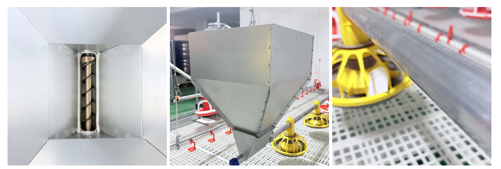 Custom Automated Poultry Equipment with Hot-Dip Galvanized Steel Anti-Spillage Design and Nipple Drinkers