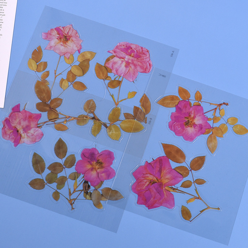 DIY Drip Glue Multiple Simulated Transparent Dried Flower Filling Decoration Materials Paper Hand Account Stickers Wholesale in Stock