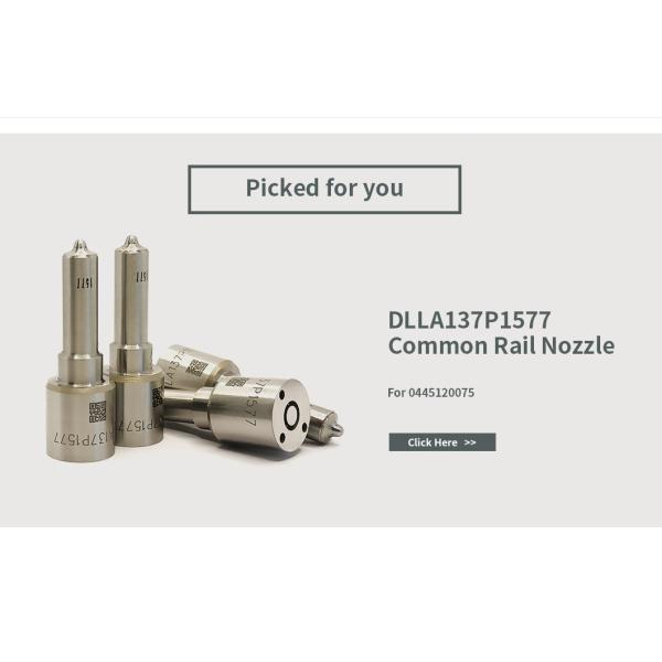 0445120075 Bosch Injector Repair Kit