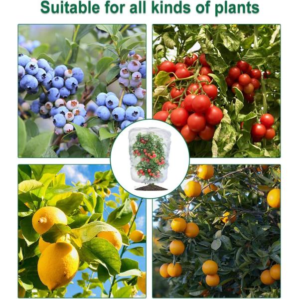 HDPE Anti-ultraviolet Insect Netting Bag for Fruit Protection Solution