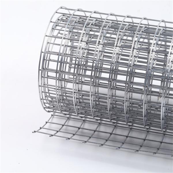 Customizable Size 4ftx50ft Galvanized Welded Wire Mesh with Corrosion Resistance and Square Hole for Chicken Bird Cage