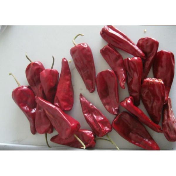 СЕРТИФИКАТЫ УПРАВЛЕНИЯ ПО САНИТАРНОМУ НАДЗОРУ ЗА КАЧЕСТВОМ ПИЩЕВЫХ ПРОДУКТОВ И МЕДИКАМЕНТОВ HACCP КОШЕРНЫЕ BRC чилей Beijinghong Jinta красного перца органического Chili Yidu