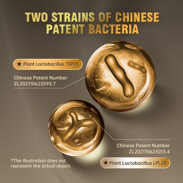 Active probiotic powder: 8 patents + 1 core strain + 1 encapsulation technology