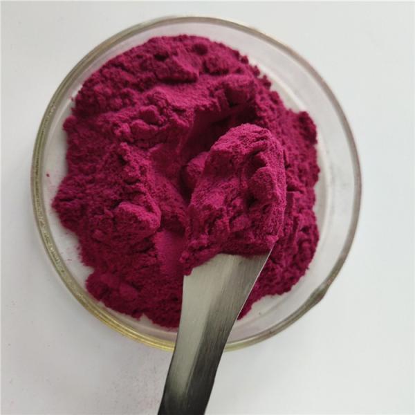 Antioxidants Food Grade Bilberry Fruit Powder With Best Price