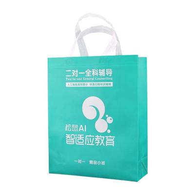 Supermarket PP Non Woven Grocery Bags 50Gsm Eco Friendly