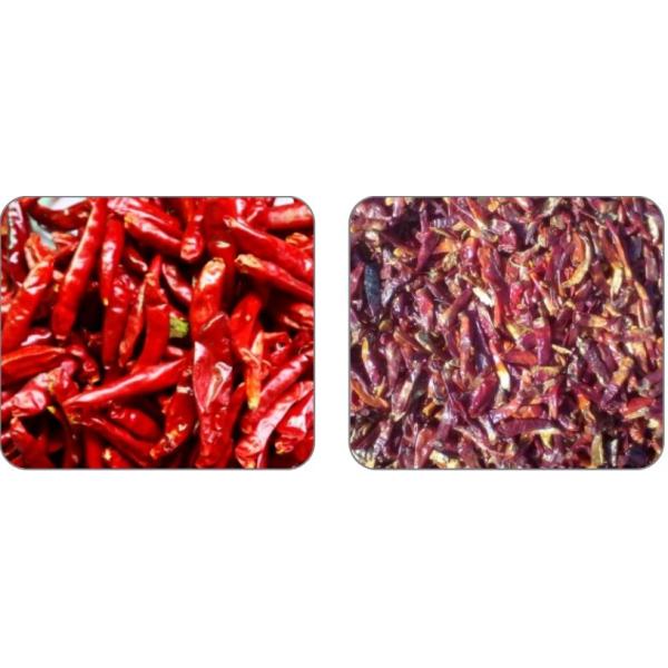 T/H 2560Kg сортируя машины 1,0 Chili/овоща с процессором Altera