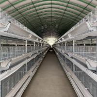 Galvanizado H Tipo 4 Nível Large Cage de camada de galinha para galinha