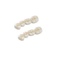 Professional Dental Lab Zirconia Dental Crown Easy Cleaning OEM Service Provided