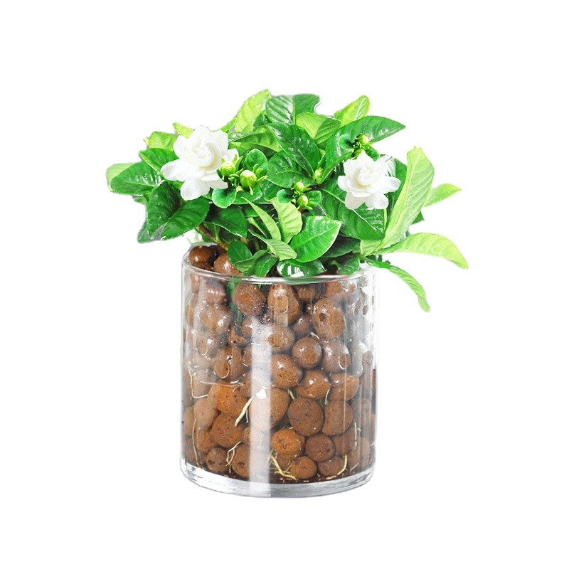 Lightweight Brown Balls Garden Expanded Ceramsite Horticulture LECA Clay Pellets 50L Bag