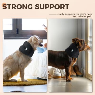 Dog neck brace