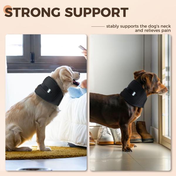 Dog neck brace