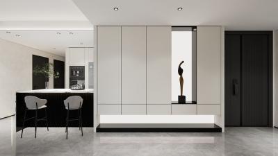 Fadior Modern Minimalist White Stainless Steel Shoe Cabinet With Built-In Illuminated Back Panel Design