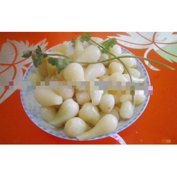 HOT WHOLESALE  Pickled Seasoning Chinese Bulbous Onion Rakkyo