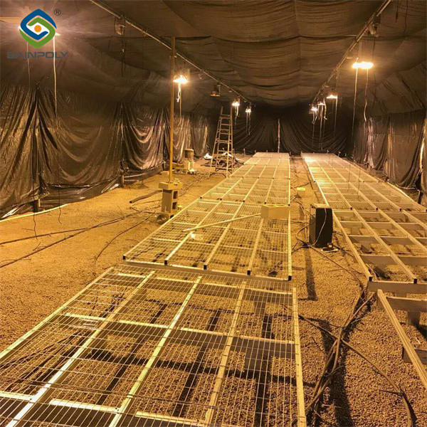 Personnalisation Automatisée Dep lumière Serre de grande taille 3 couches