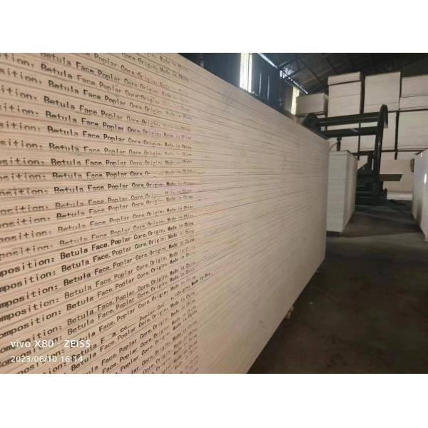 Highly Versatile HSS Nicking Tools Steel Cutting Creasing Rule for Printing Materials