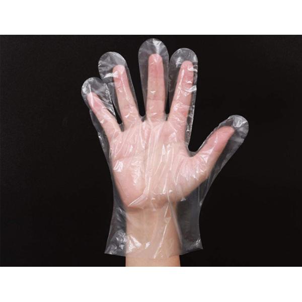 Food Safe Disposable Plastic Gloves Powder & Latex Free Dust Resistant