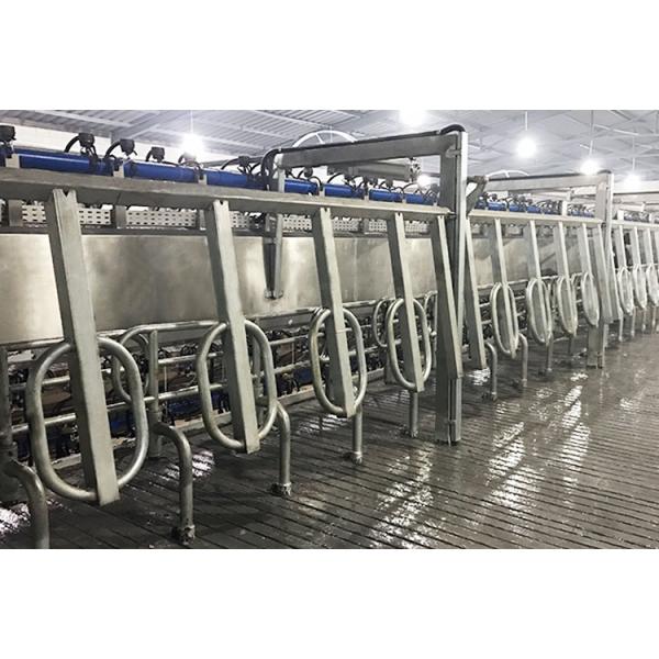 Dairy Farm Electric Herringbone Parlour Milking Systems 100 Cows Per Hour