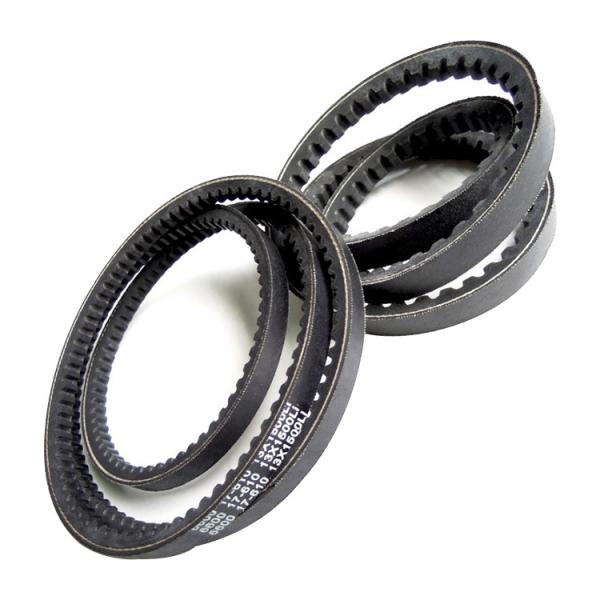 Excavator Forklift Perkins Spare Parts 2418F704 Cylinder Rear Oil Seal