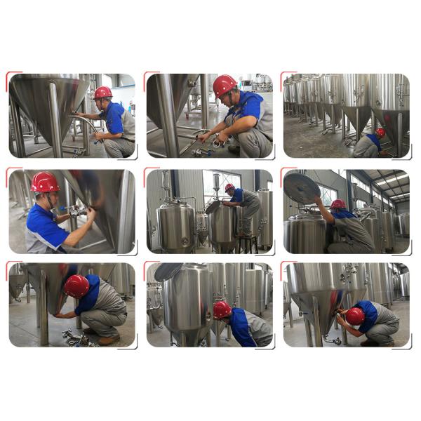 Mini Craft Brewing Equipment With Hot Water Tank , Fermentation Equipment
