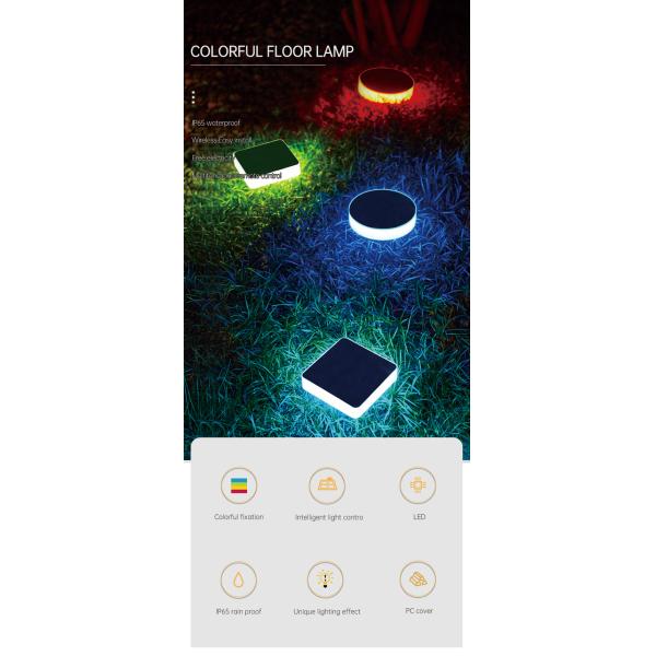 RoHS аттестовало тропу СИД RGB на открытом воздухе солнечную освещает управление переключателя 1.5W 80LM магнитное