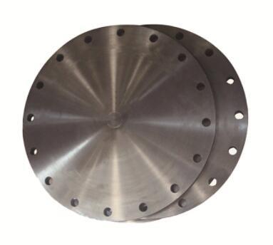 Galvanized Surface Carbon Steel Forging Round Welding Neck Floor Flange