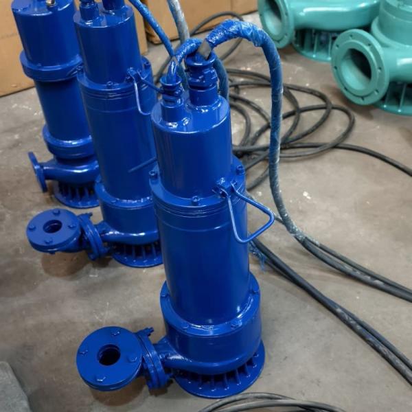 380/660 Or 660/1140 V Portable Submersible Sewage Pump 3000 R/Min