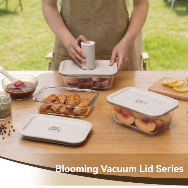 fda approved vacuum seal containers with pump for Premium Gifting & Exclusive Membership Platforms