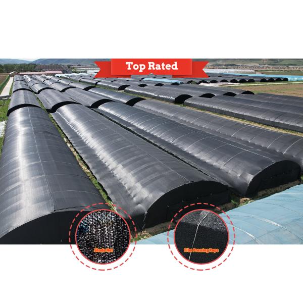 Manual or Electric Roll Up Ventilation Agricultural Polythene Film Covered Mushroom Green House with Hot Galvanized Steel Structure