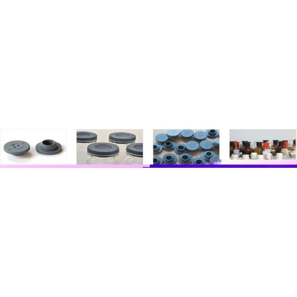 250T Hydraulic Rubber Bottle Cover Compression Molding Press with Advanced Technology