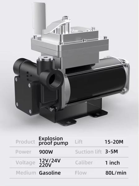 Small Automatic 12V/24V Electric Diesel Oil Pump Customizable OEM & ODM Supported