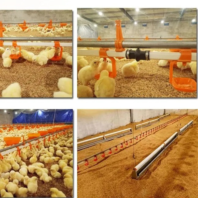 Hot-Dip Galvanized Steel Automatic Chicken Pan Feeding Equipment with 450 kg/h Capacity and German Feed Level Sensor