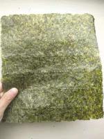 Envolva folhas do alimento 50 embalam a alga Roasted seca Nori Dark Green