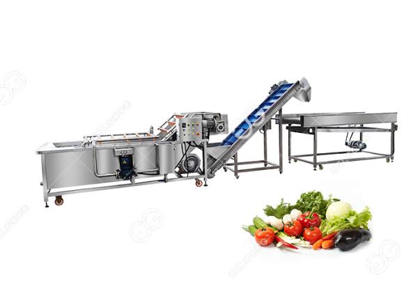 380V CE Certified Stainless Steel Commercial Fruit And Vegetable Washing Processing Line