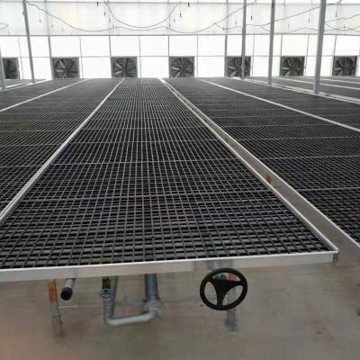 1.735m Tabelas rolantes para estufas de material PE Bancos de estufas para orquídeas de rosa