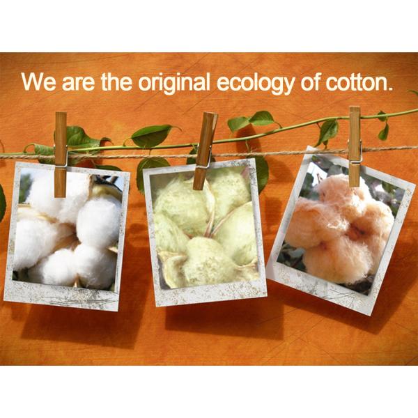 GOTS organic cotton velvet fabric