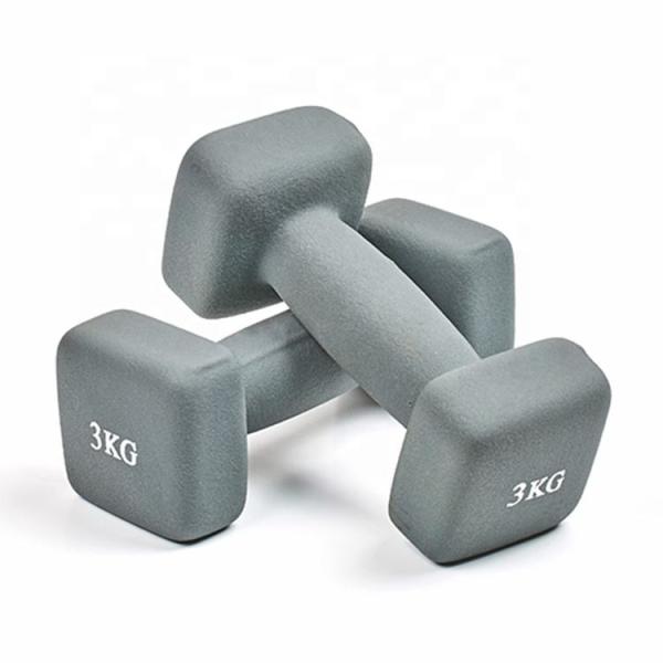 Custom Colorful Vinyl Coated Cast Iron Dumbbell Square Shaped