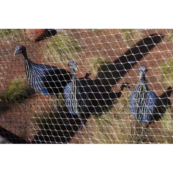 3.0mm 25x25mm Stainless Steel Rope Mesh Hot Dipped Galvanized