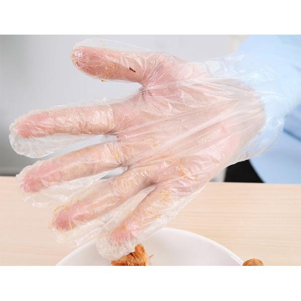 Household Cleaning Barbershop Pe Glove / Disposable Cooking Wash Plastic Gloves