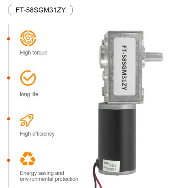 Futeng Factory 5840 12v High Torque Dc Geared  Motors 24v Micro Worm Gear Motor