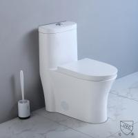 toalete completo alongado nivelado duplo da eficiência elevada de 1-Piece 1,1 Gpf/1.6 Gpf no branco