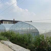 Serre chaude claire de Simple-envergure de feuille de plastique de vue stable de structure d'agriculture
